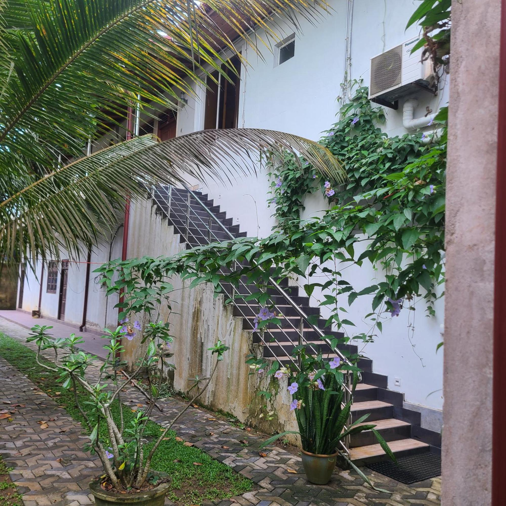 Gg Lodge Mirissa Exterior foto
